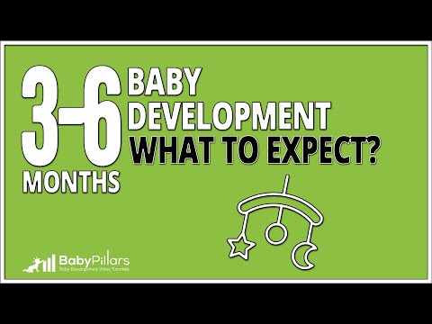 Baby Milestones 3-6 Months: Essential Development Activities & What to Expect