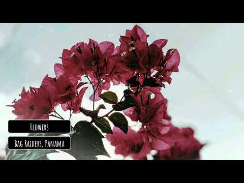 Bag Raiders, Panama - Flowers