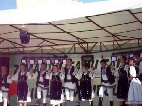 ZILELE ZIMANDULUI NOU - FORMATIA ARMONIA  & ANSAMBLUL ROMANASUL