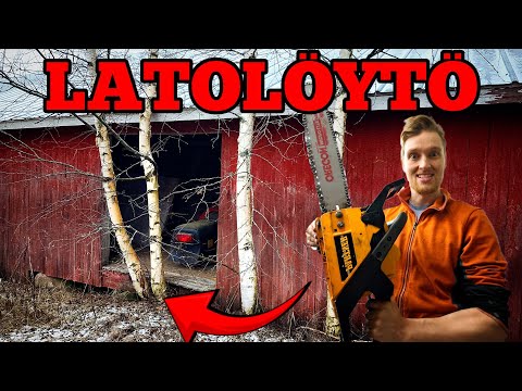 KAIKKIEN AIKOJEN LATOLÖYTÖ!? KOIVUT KASVANUT ETEEN😅