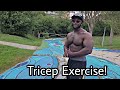 Tricep Exercises For Bigger Arms (DONT SKIP THESE!)
