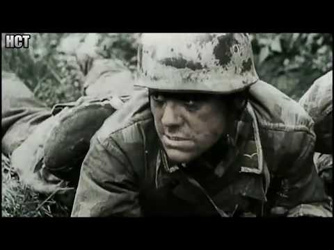 Lao Che - Wojenka (Rozdane Videos)