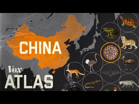 Why Do New Viruses Keep Emerging in China?