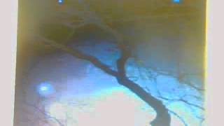 You'd Be So Nice To Come Home To