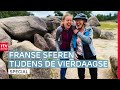 Gaat de Fiets4Daagse helemaal tot aan Frankrijk? | Op Die Fiets