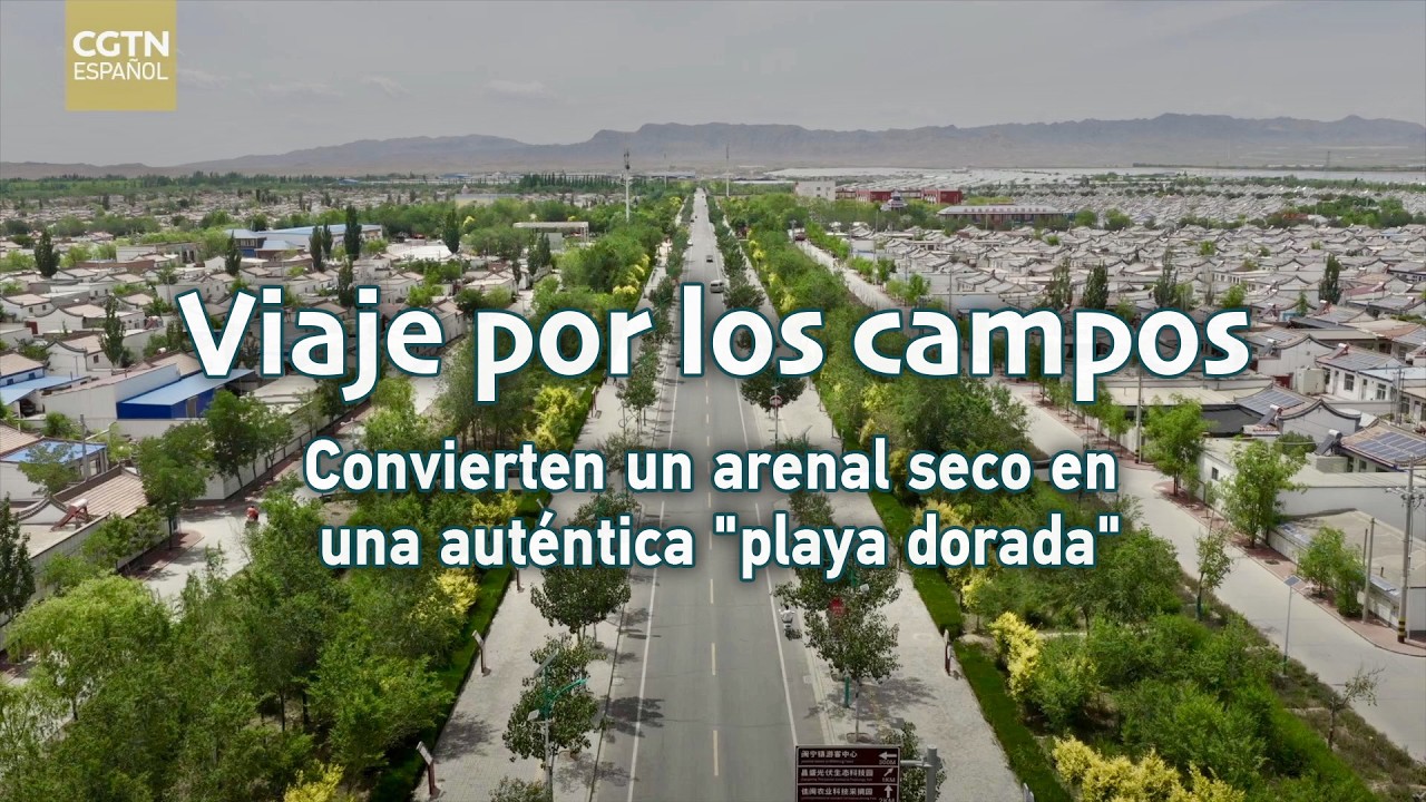 Viaje por los campos | Convierten un arenal seco en una auténtica "playa dorada"