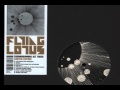 Flying Lotus - Galaxy In Janaki (2008 Version)