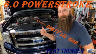 6.0 POWERSTROKE; DIRTY LIL EGR (EGR VALVE CLEANING / MAINTENANCE)