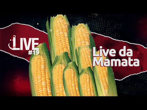 LIVE DA MAMATA | Live Senso Incomum #19