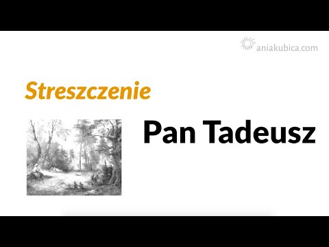 Pan Tadeusz - summary