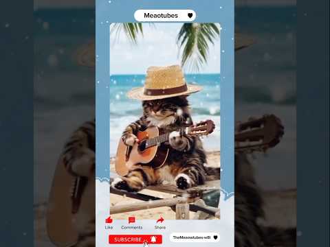 #cat enjoying at the beach #kitty #catlove #cute #catsytube #cute #cuteanimals #meowmoew