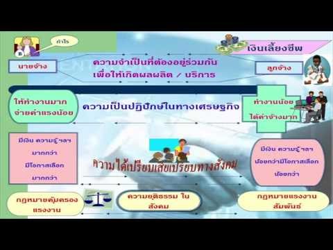 ค่าใช้จ่ายขยายขนาดอวัยวะเพศ ใบกระวานเพื่อเพิ่มความแข็งแรง