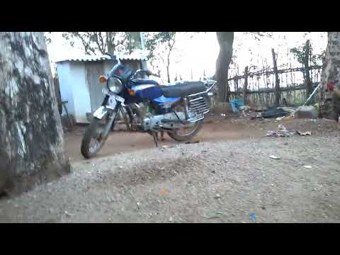 akshith pandu playing with chicken funny (1)