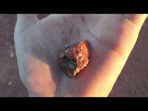 Adventure #3 (Part 8) - 85 Gold Nuggets in 1 Day!