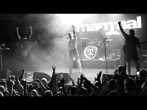 Mammal - Slings and Arrows (Official Music Video)