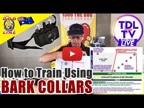 Bark Collars - How to train your dog using Bark Collars?