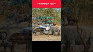 How Unique Wildlife Reserves of Senegal