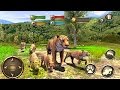 Wild Tiger Survival Simulator By Vital Games Production Android Gameplay HD
