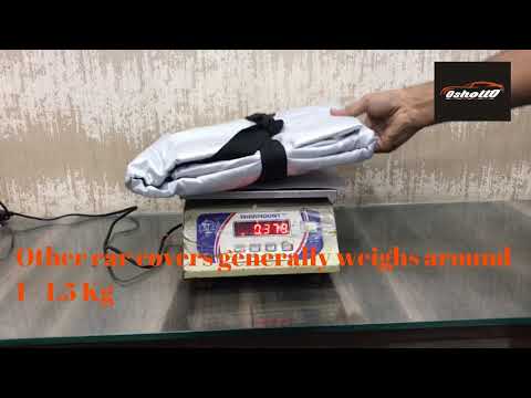 Oshotto Spyro Car Cover