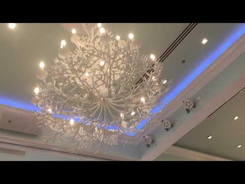 image-How many rooms does The Colony Palm Beach have?
