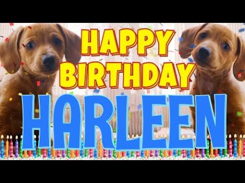 Happy Birthday Harleen! ( Funny Talking Dogs ) What Is Free On My Birthday