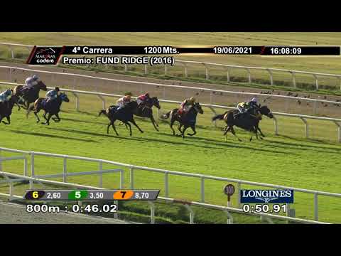 210619 c04 IMPETUOSA