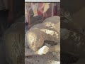 „Bodies“ Frozen in Time #pompeii #history #archeology #italy #volcano #shorts #explore #travel