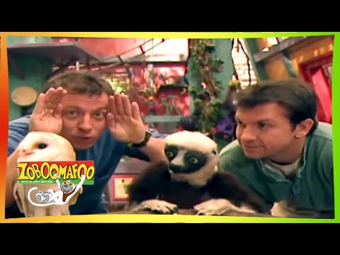 🦌 Zoboomafoo with the Kratt brothers 131 | Funny Faces | Animal shows for kids | Full Episodes  🦌