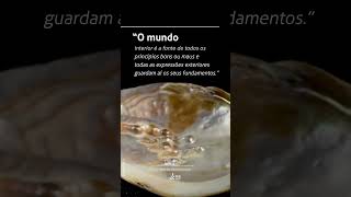 Cap. 47 | Um Minuto com Chico Xavier