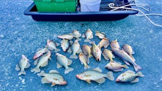 Ice Fishing HARVEST MISSION! - Catching ALL the FISH!