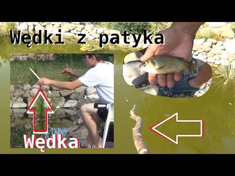 We all fish with STICK RODS! Catching Crucian Carp from My Pond Part 7