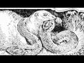 RIKKI-TIKKI-TAVI - classic short story from Rudyard ...