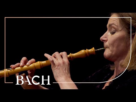 Bach - Oboe Concerto in F major BWV 1053r - Black | Netherlands Bach Society