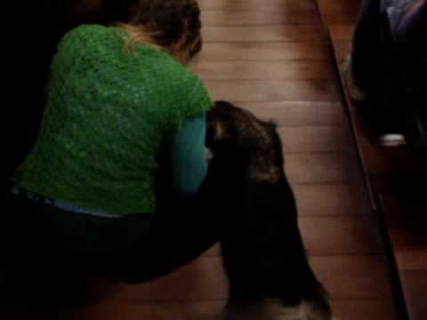 Che Catatau no Debate DCE/UFSC 29/10/2008