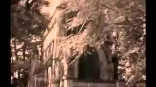 Mind Over Time, Interpol