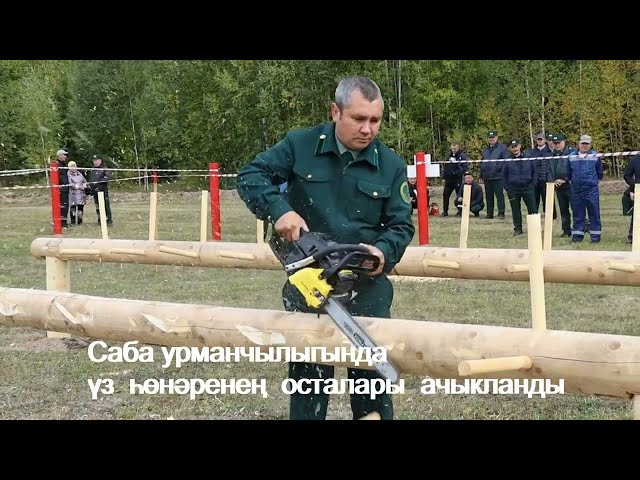 Саба урманчылыгында үз һөнәренең осталары ачыкланды