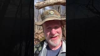 Laurel Highlands Day Hike March 2025