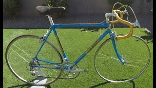 Team Miyata 1980