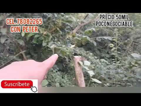 Terreno en venta en los Zacatillos San Juan Nonualco La Paz.