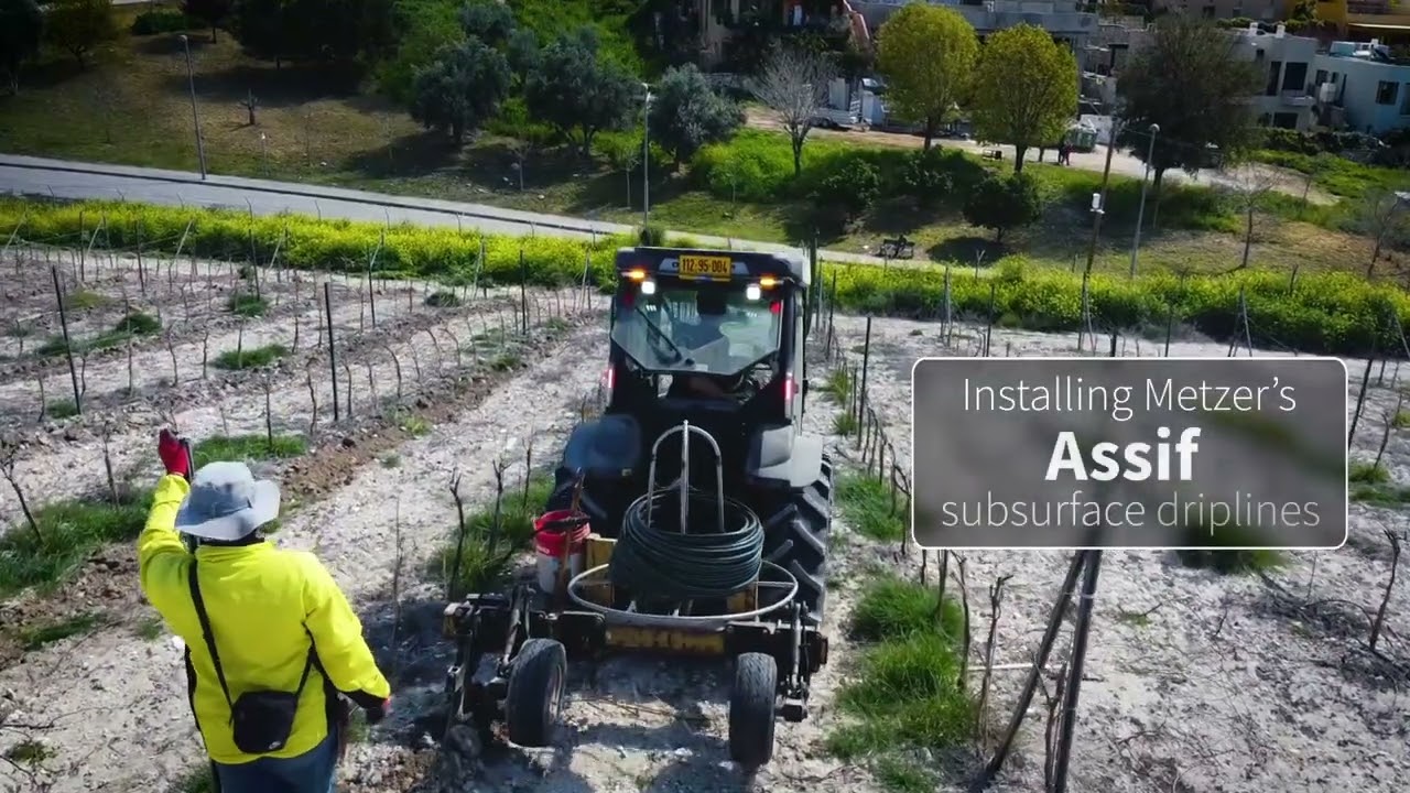 Instalare SDI Assif în vie