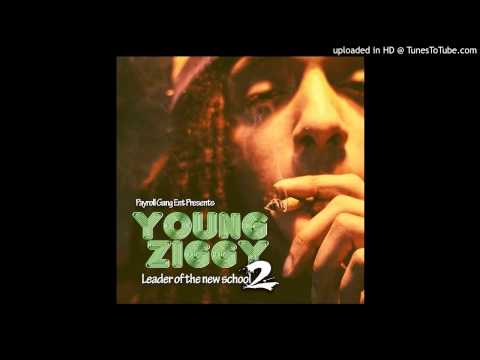 Young Ziggy - On a Mission
