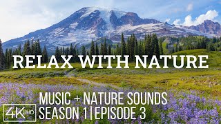 Relax with Nature - Episode 3 | 4K Ambient Music & Scenic Landscapes for Calm & Clarity