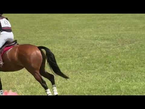 Tiz Area 3 novice xc 