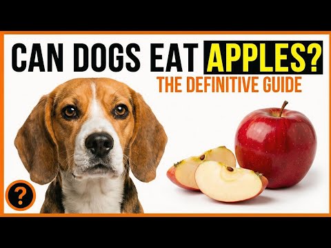Can Dogs Eat Apples? (Skin, Seeds, Cores & Safety Guide)