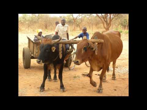 Kanye West - Clique ( Best Cover Ever ) By Uncle Rafool