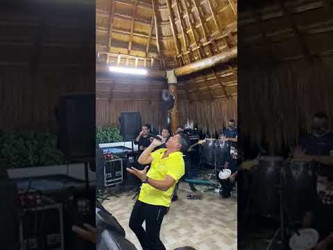 Rafa Pérez -No te importo mentir parranda 2020