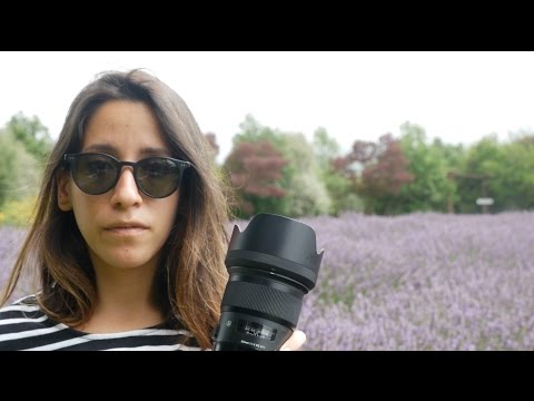 Travel Vlog - New Zealand //Picton & Christchurch