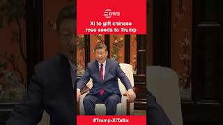 CONSTRUCTIVE TIES: Xi Declares New Era in US-China Relations after Trump Summit | DWS News | AC1I