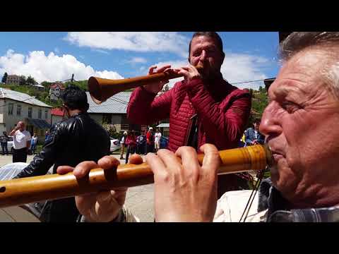 МАЈОВЦИ - ЛАЗАРОПОЛЕ ТАМУ НАЈГОРЕ / ШТО ЈА НЕМА ЦВЕТА www.lazaropolee.blogspot.com