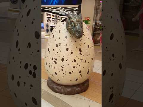 Dinosaurs eggs #dinosaur #dinosaurs #dino #dinosaurus #dinosaurios #jurassicworld #jurassicpark